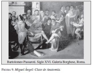 Miguel Ángel: Clase de Anatomía Miguel Ángel: Clase de Anatomía