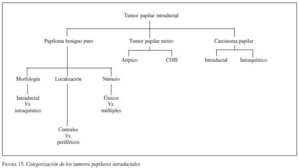 Categorización de los Tumores Papilares Intraductales