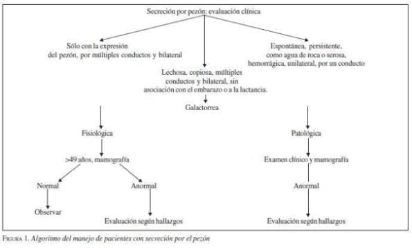 Algoritmo del Manejo de Pacientes con Secreción por el Pezón Algoritmo del Manejo de Pacientes con Secreción por el Pezón