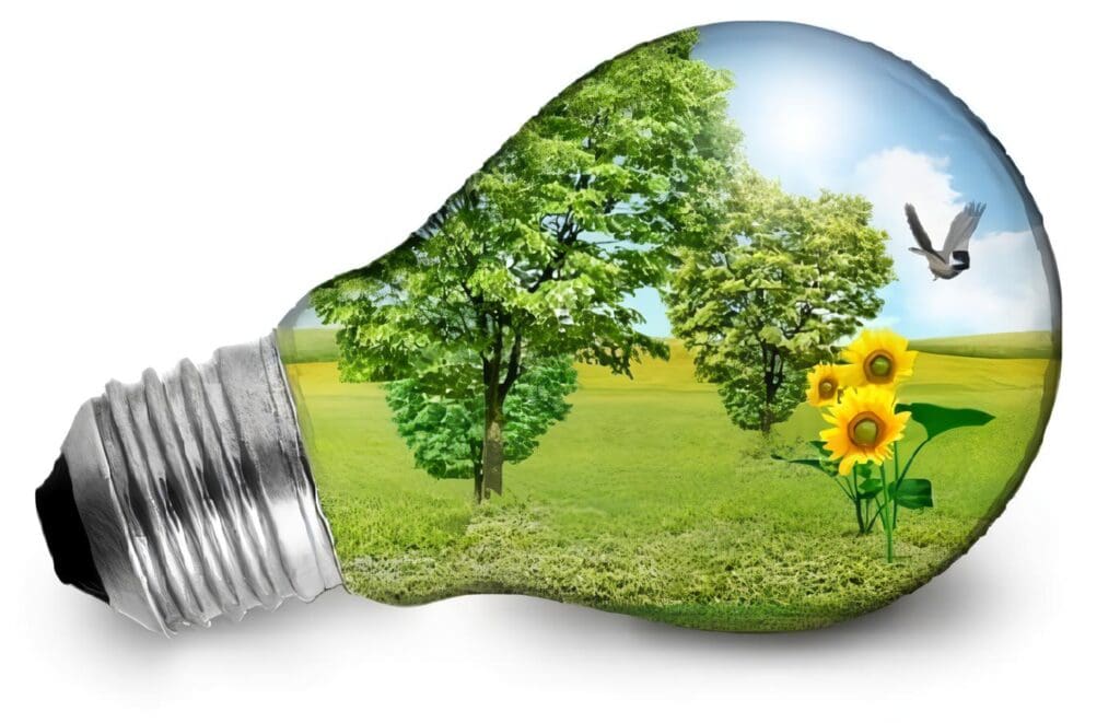 Sostenibilidad Ambiental Y Prevención Del Riesgo