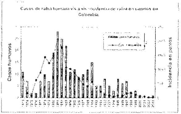 Casos de rabia humana
