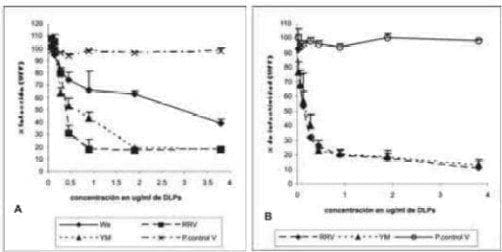 células Caco-2 células Caco-2