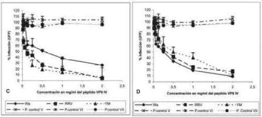 Efecto del péptido VP4 y VP6 Efecto del péptido VP4 y VP6