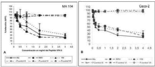 Efecto del péptido VP4 y VP6 Efecto del péptido VP4 y VP6