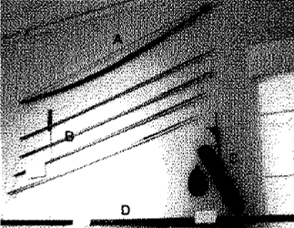 Dardo de los años noventa del siglo XX 