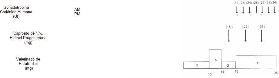Esquema de aplicación de Tratamiento Hormonal a 29 mujeres en Menopausia