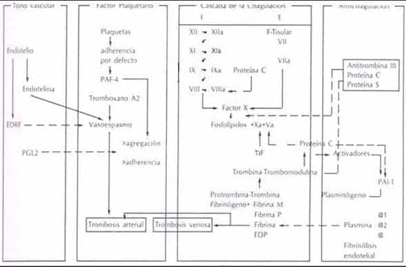 Sistemas, Tono Vascular, Plaquetas, Coagulación y Fibrinólisis.