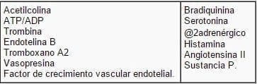 Receptores a nivel de membrana endotelial.