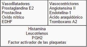 Productos derivados del endotelio