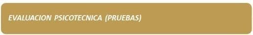 Evaluación Psicotecnica (Pruebas)