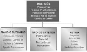 Guía para el Manejo del Catéter Venoso
