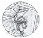 Comprensión del Nervio facial B