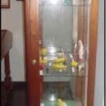 Curanderismo en colombia Curanderismo en colombia