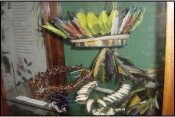 Hstoria de la medicina magico religiosa