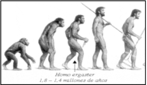 Evolución del hombre Evolución del hombre