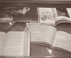 Revista Médica de la Academia de Medicina 