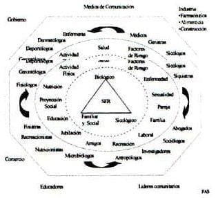 Climaterio masculino y femenino