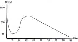 Ontogenia y DHEA Ontogenia y DHEA