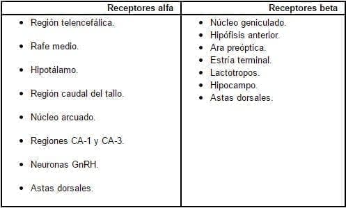 Localización de los receptores estrogénicos en el sistema nervioso central Barón G.40.