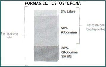 Formas de Testosterona