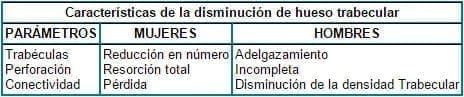 Diferencias en la disminución del hueso trabecular por género