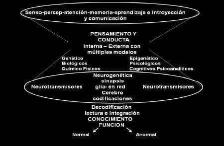 Pensamiento y Conducta