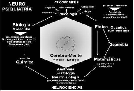 Neurociencias