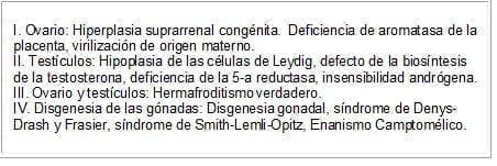 Estudio de simétrica y las gónadas Estudio de simétrica y las gónadas
