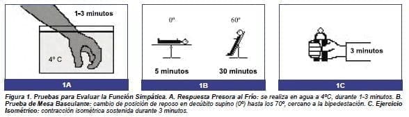 Pruebas para Evaluar la Función Simpática Pruebas para Evaluar la Función Simpática