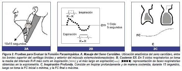 Pruebas para Evaluar la Función Parasimpática Pruebas para Evaluar la Función Parasimpática