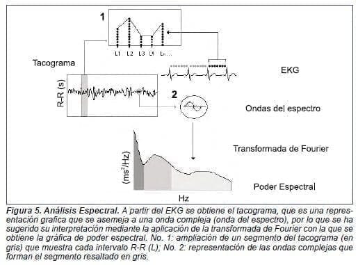 Análisis Espectral Análisis Espectral