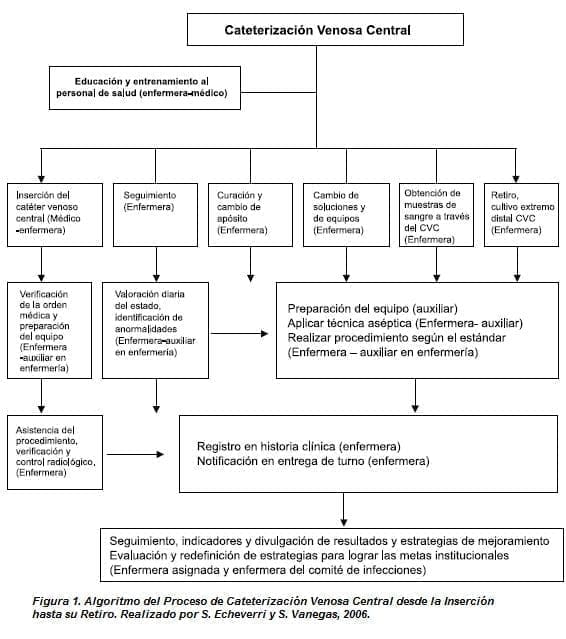 Cateterización Venosa Central desde la Inserción hasta su Retiro Cateterización Venosa Central desde la Inserción hasta su Retiro