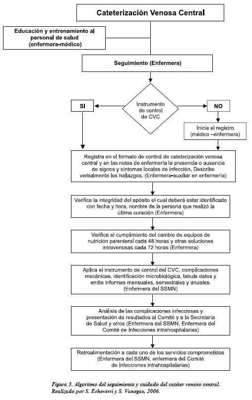 Seguimiento y Cuidado del Catéter Venoso Central Seguimiento y Cuidado del Catéter Venoso Central