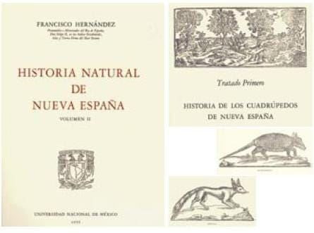Historia Natural de Nueva España Historia Natural de Nueva España