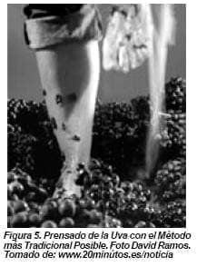 Vino Prensado de la Uva