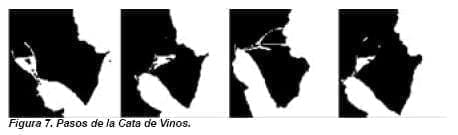 Pasos de la Cata de Vinos