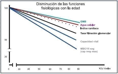 Gasto Metabólico Basal Gasto Metabólico Basal