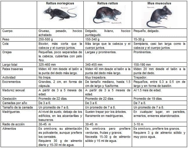 Características biológicas de los roedores