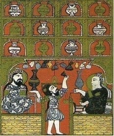 García de Orta, hizo conocer a Europa los de la India medicamentos minerales por Paracelso García de Orta, hizo conocer a Europa los de la India medicamentos minerales por Paracelso