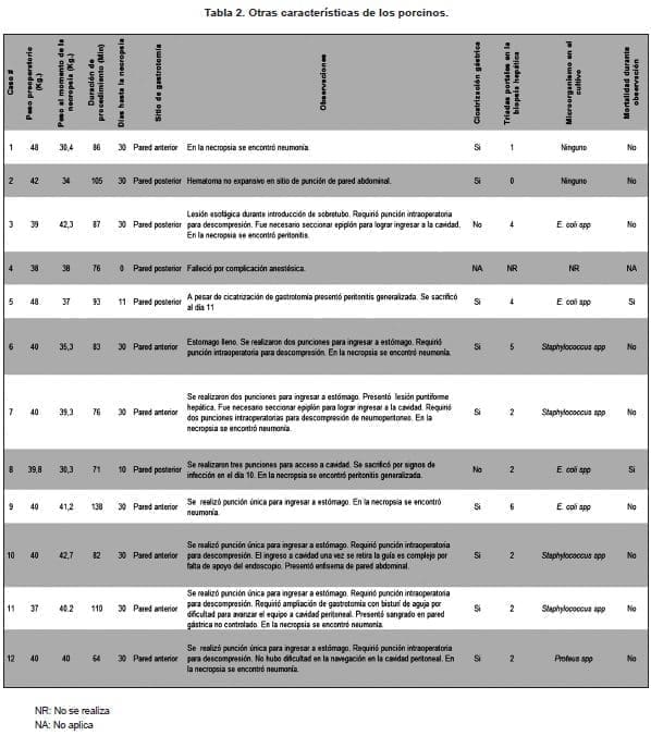 Otras Características de los Porcinos Otras Características de los Porcinos