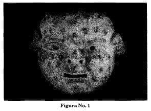 Fase eruptiva