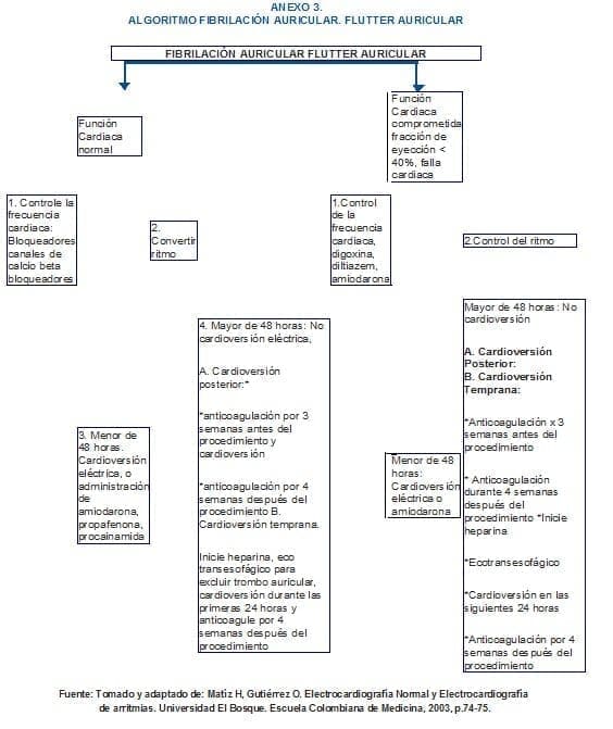 Fibrilación Auricular Flutter Auricular Fibrilación Auricular Flutter Auricular - Pacientes con Arritmias Cardíacas