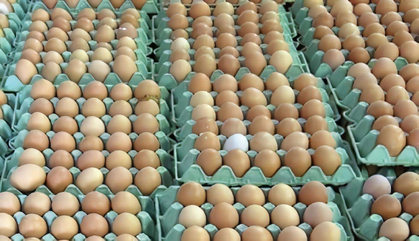 promocion-huevos