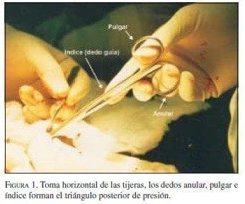Toma Horizontal de las Tijeras