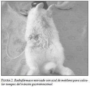 Radiofármaco, tiempos del tránsito gastrointestinal