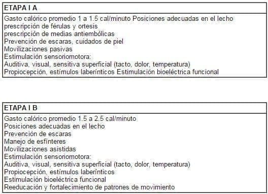 Etapas programa de rehabilitación Etapas programa de rehabilitación