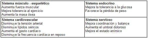 Beneficios del Ejercicio Beneficios del Ejercicio