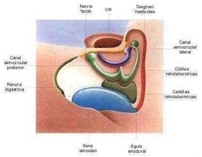 Canal semicircular lateral