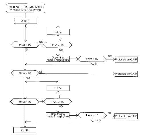 Paciente Traumatizado y Quirúrgico Mayor Paciente Traumatizado y Quirúrgico Mayor