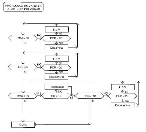 Catéter de Arteria Pulmonar Catéter de Arteria Pulmonar